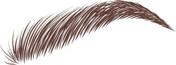 Eylure Dybrow Eyebrow Dye Kit Dark Brown – At-Home Brow Tint, Up to 6 Weeks