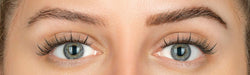 Eylure Dybrow Eyebrow Dye Kit Dark Brown – At-Home Brow Tint, Up to 6 Weeks