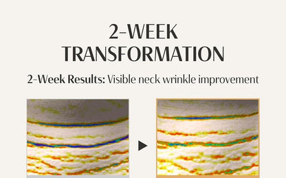 Peptide Volume Neck Cream