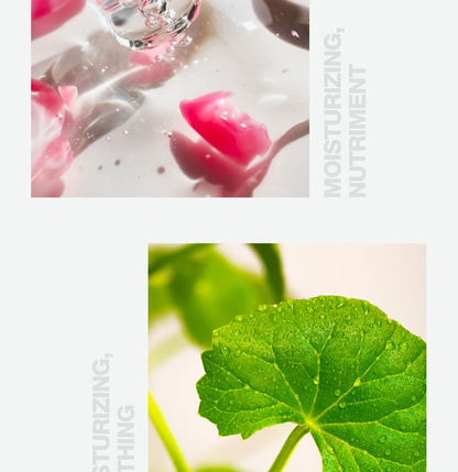 Body Scrub - 4 Types