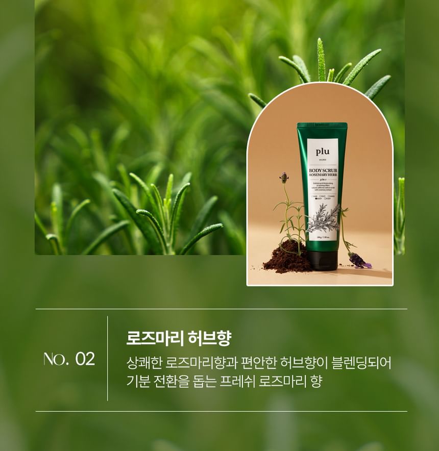 Body Scrub - 4 Types