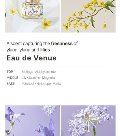 Inner Perfume - 18 Types